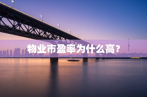 物业市盈率为什么高？