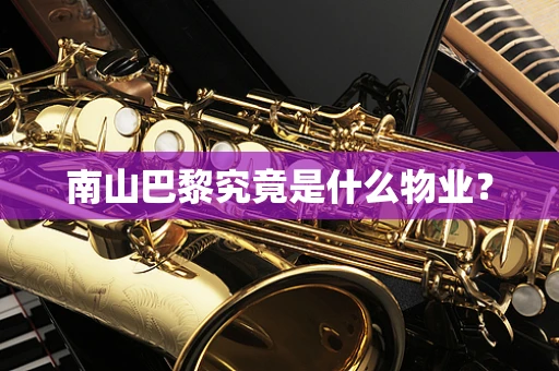 南山巴黎究竟是什么物业？