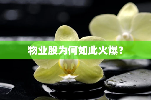 物业股为何如此火爆？
