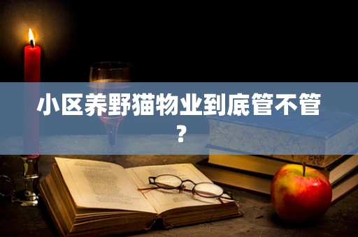 小区养野猫物业到底管不管？