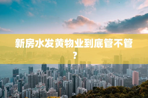 新房水发黄物业到底管不管？