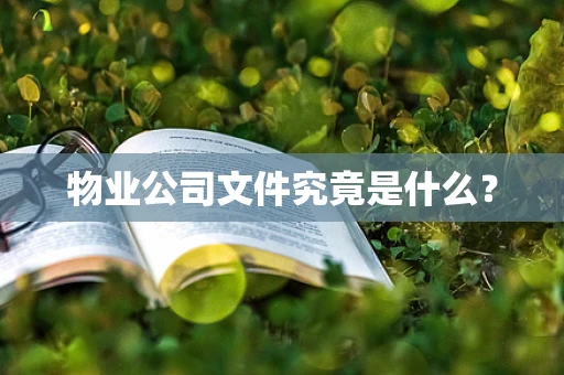 物业公司文件究竟是什么？