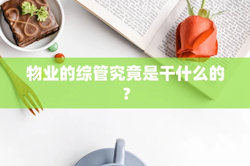 物业的综管究竟是干什么的？