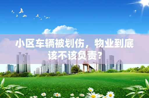 小区车辆被划伤，物业到底该不该负责？