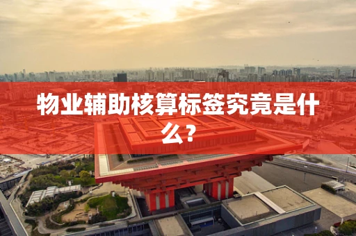 物业辅助核算标签究竟是什么？