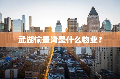 武湖愉景湾是什么物业？