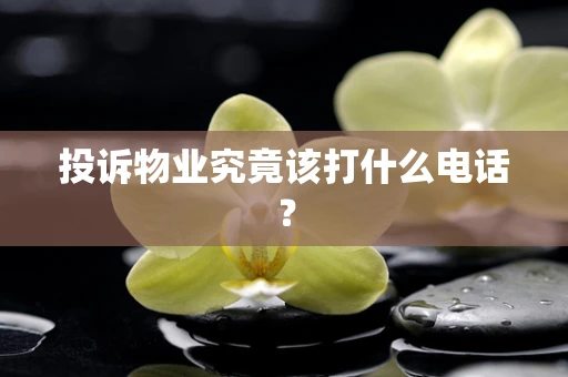 投诉物业究竟该打什么电话？