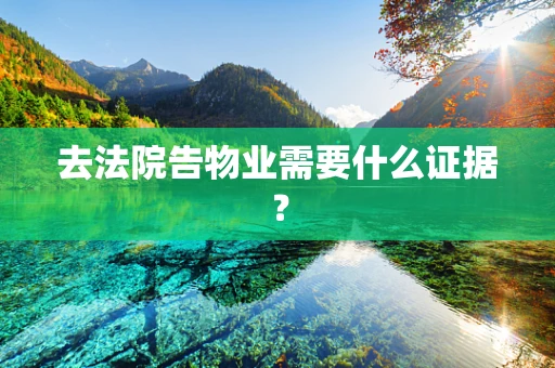 去法院告物业需要什么证据？