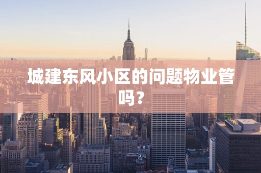 城建东风小区的问题物业管吗？