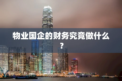 物业国企的财务究竟做什么？