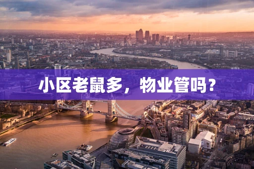 小区老鼠多，物业管吗？