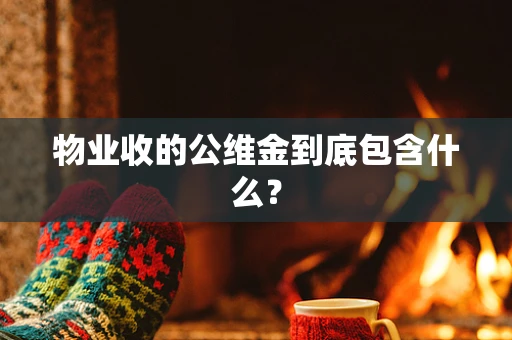 物业收的公维金到底包含什么？