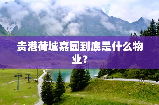 贵港荷城嘉园到底是什么物业？