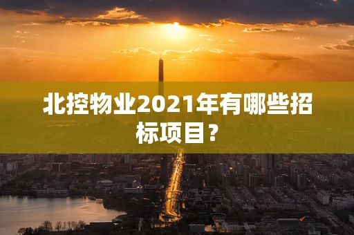 北控物业2021年有哪些招标项目？