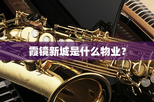 霞镜新城是什么物业？