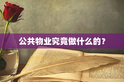 公共物业究竟做什么的？