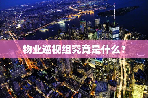 物业巡视组究竟是什么？