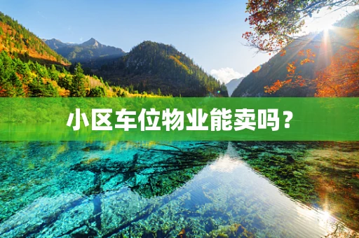 小区车位物业能卖吗？
