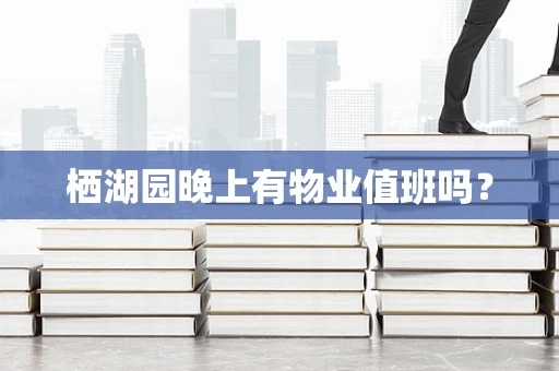 栖湖园晚上有物业值班吗？