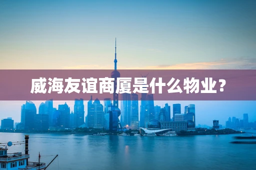 威海友谊商厦是什么物业？