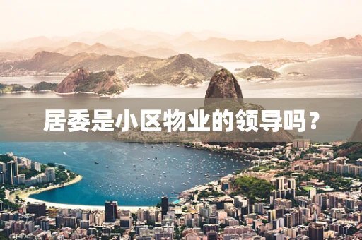 居委是小区物业的领导吗？