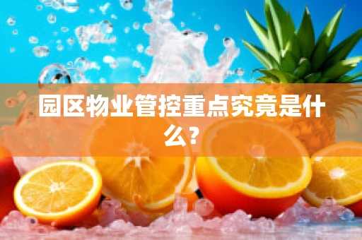 园区物业管控重点究竟是什么？