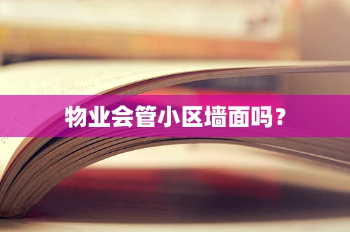 物业会管小区墙面吗？