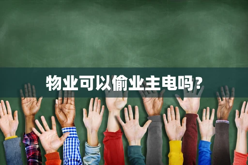 物业可以偷业主电吗？