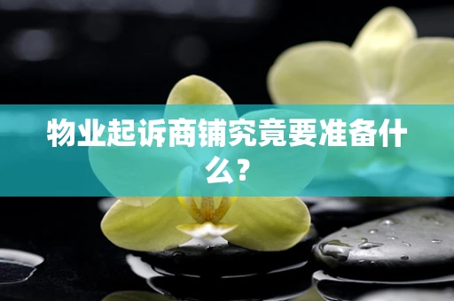 物业起诉商铺究竟要准备什么？