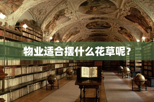 物业适合摆什么花草呢？