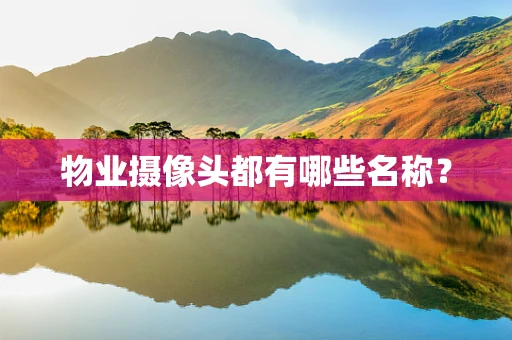 物业摄像头都有哪些名称？