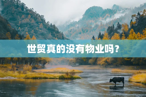 世贸真的没有物业吗？