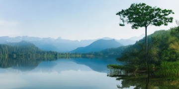惠民苑小区物业可靠吗？