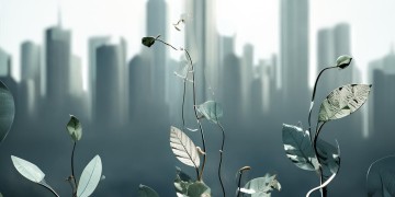 高层物业费会涨价吗？