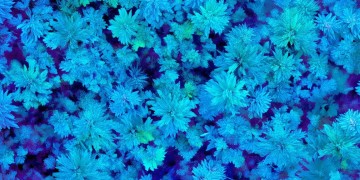 华南花园物业，真的值得买吗？